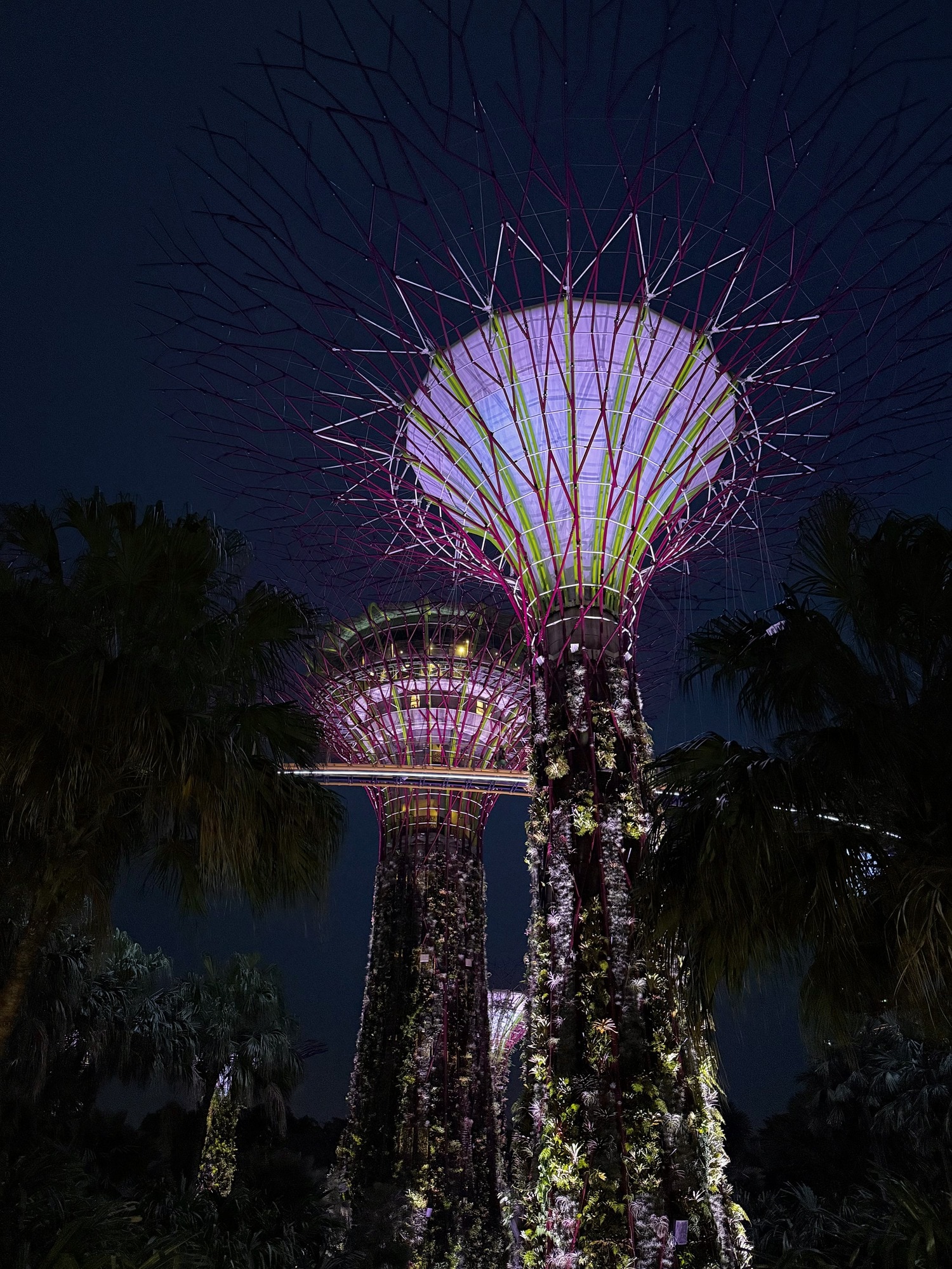gardens by the bay