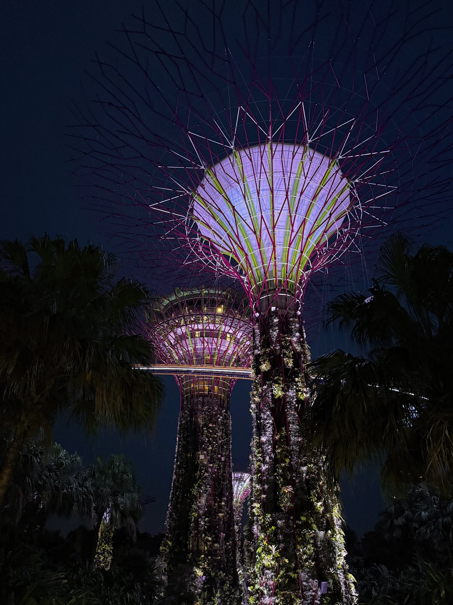 gardens by the bay